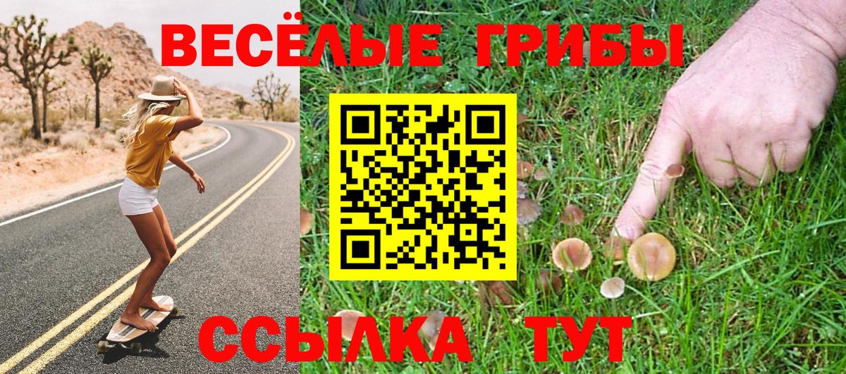 Кандалакша  Псилоцибиновые грибы GOLDEN TEACHER  Вход с VPN 
