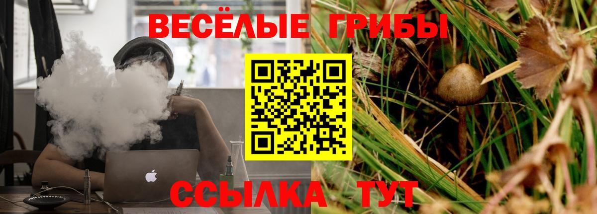 Псилоцибиновые грибы мицелий Кандалакша
